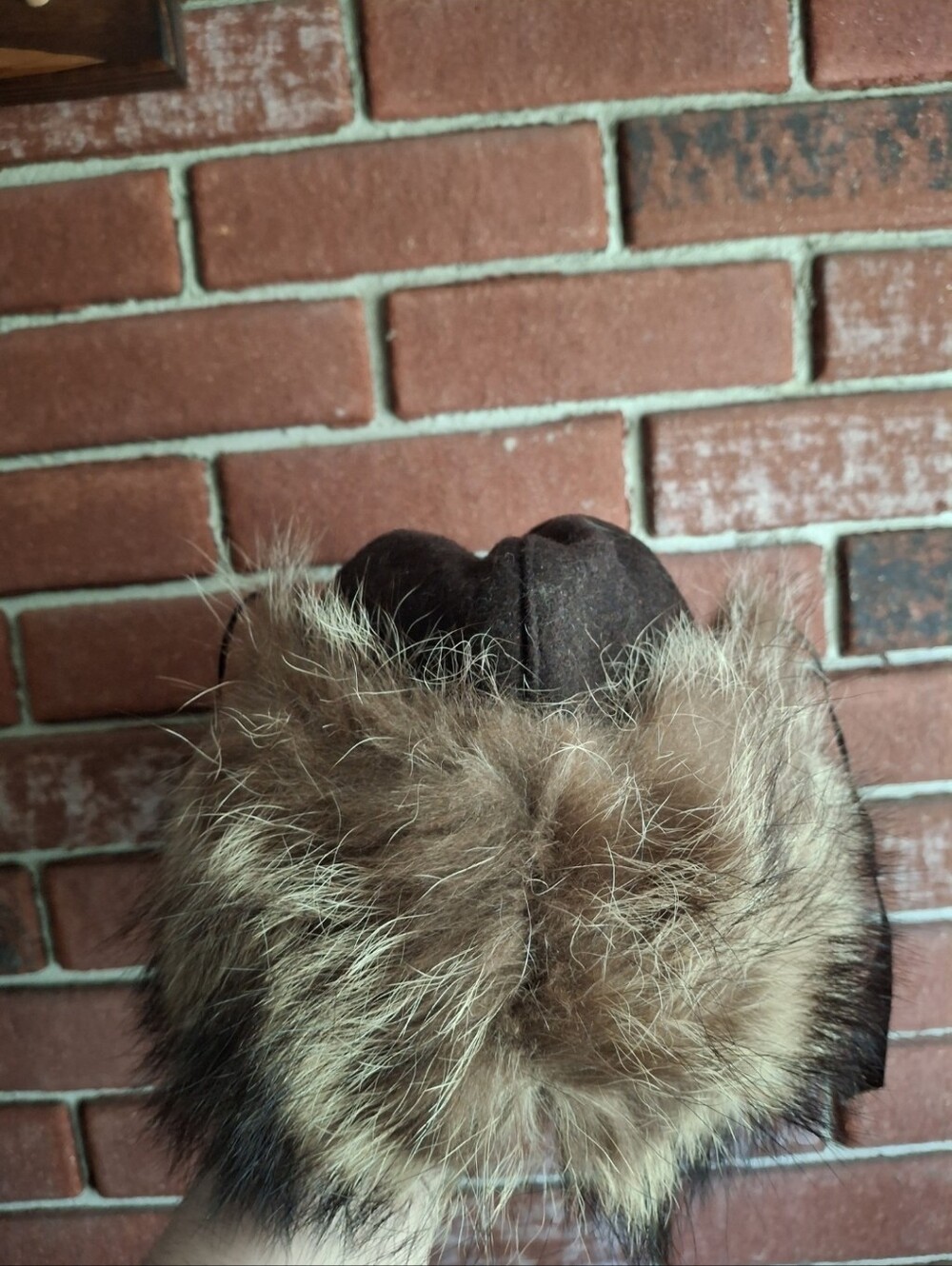 Vintage Racoon Hat - Picture 3 of 7